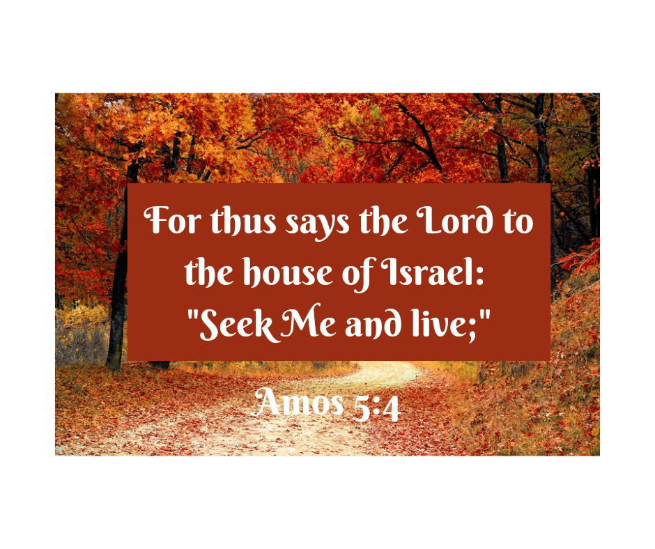 What are You Seeking?