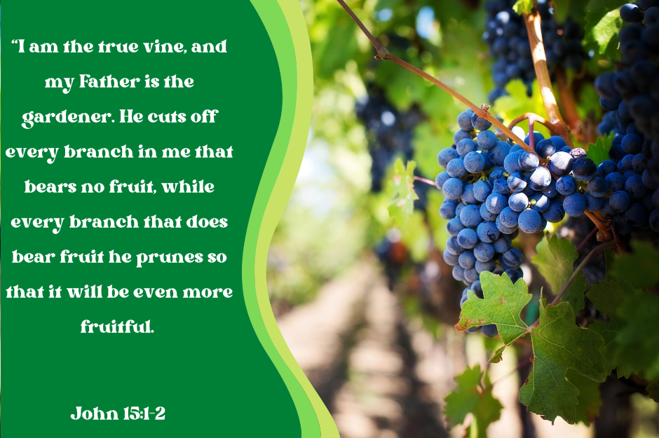 Are You Living on the Edge?