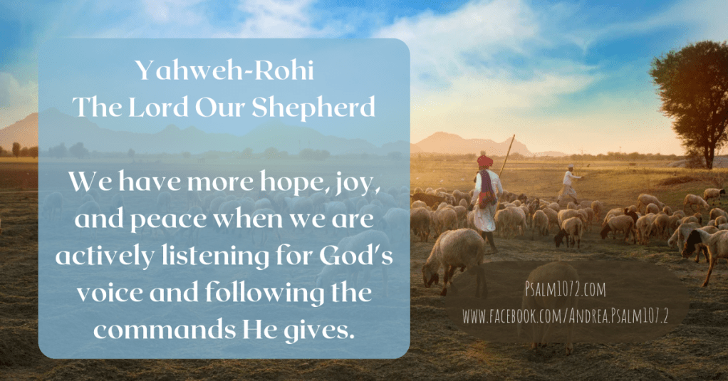 Yahweh Rohi: The Lord Our Shepherd