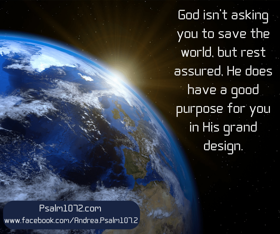 You Can’t Save the World