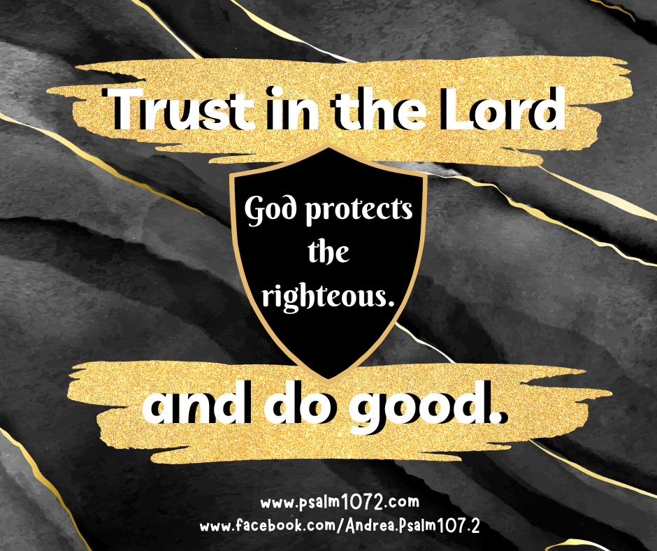 Trust in the&nbsp;Lord