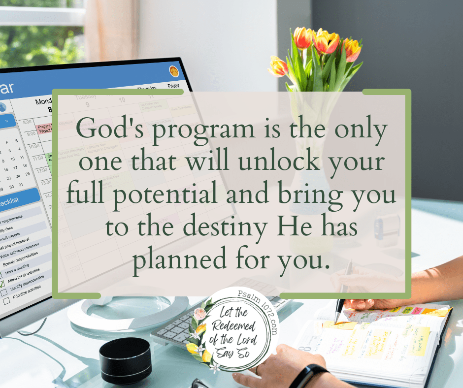 Sticking with the&nbsp;Program