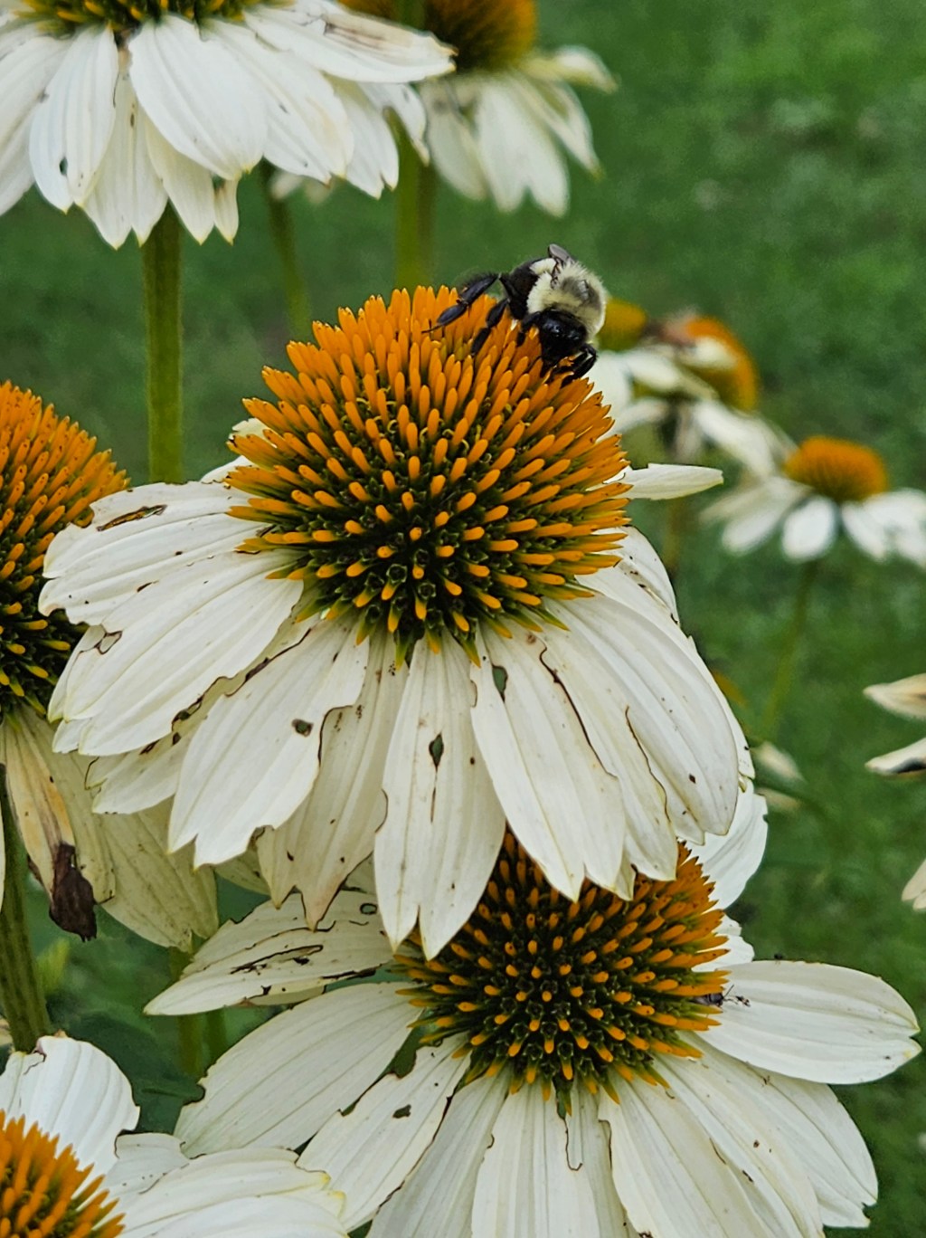 To Know Him is to Love&nbsp;Him