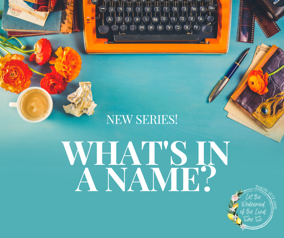 What’s in a&nbsp;Name?