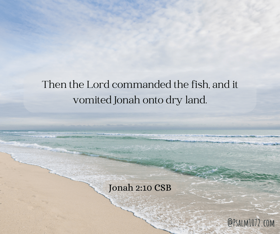 Thankful for Discipline